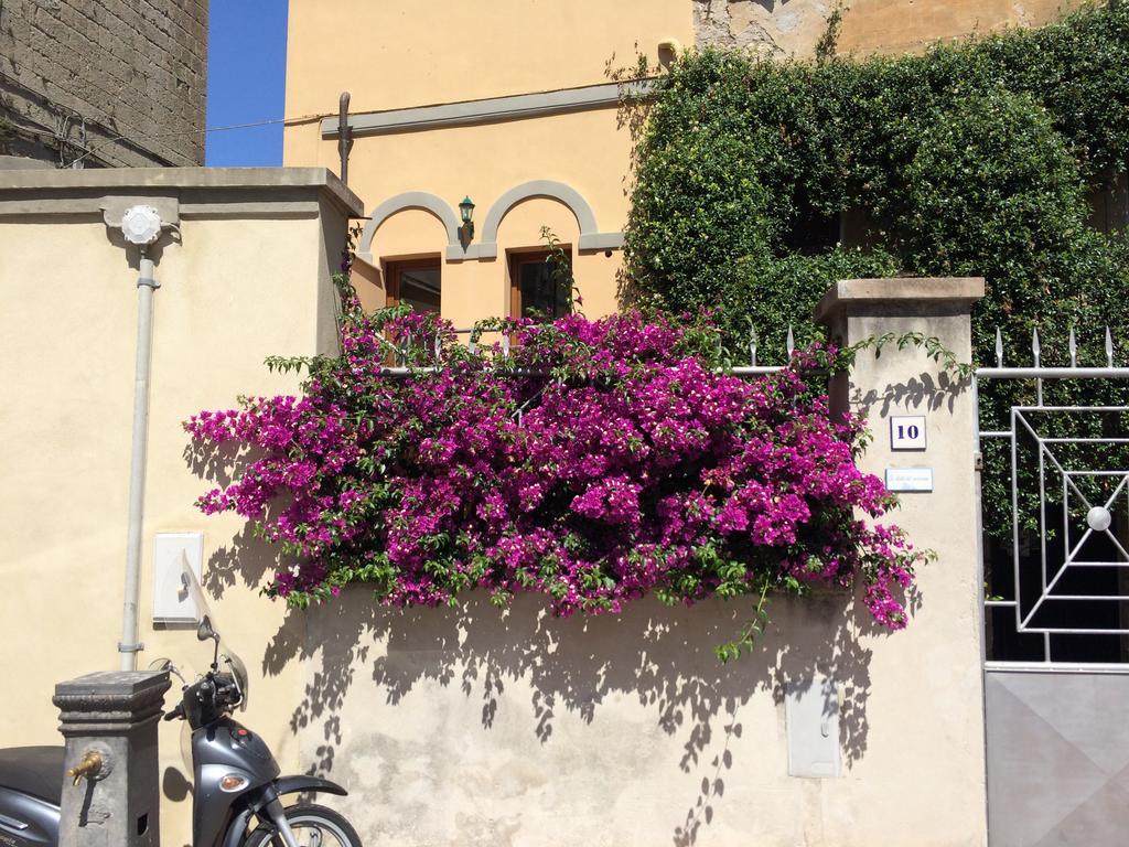 Le Stalle Del Seminario Tarquinia Eksteriør billede